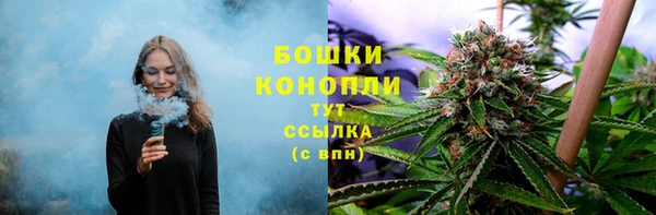 молекула духа Нягань