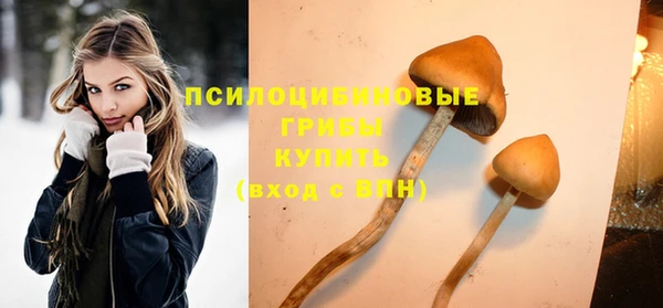 молекула духа Нягань