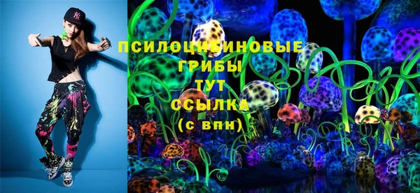 прущие крисы Новозыбков