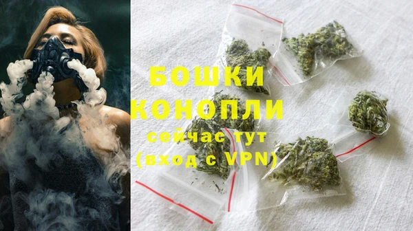 ПСИЛОЦИБИНОВЫЕ ГРИБЫ Няндома